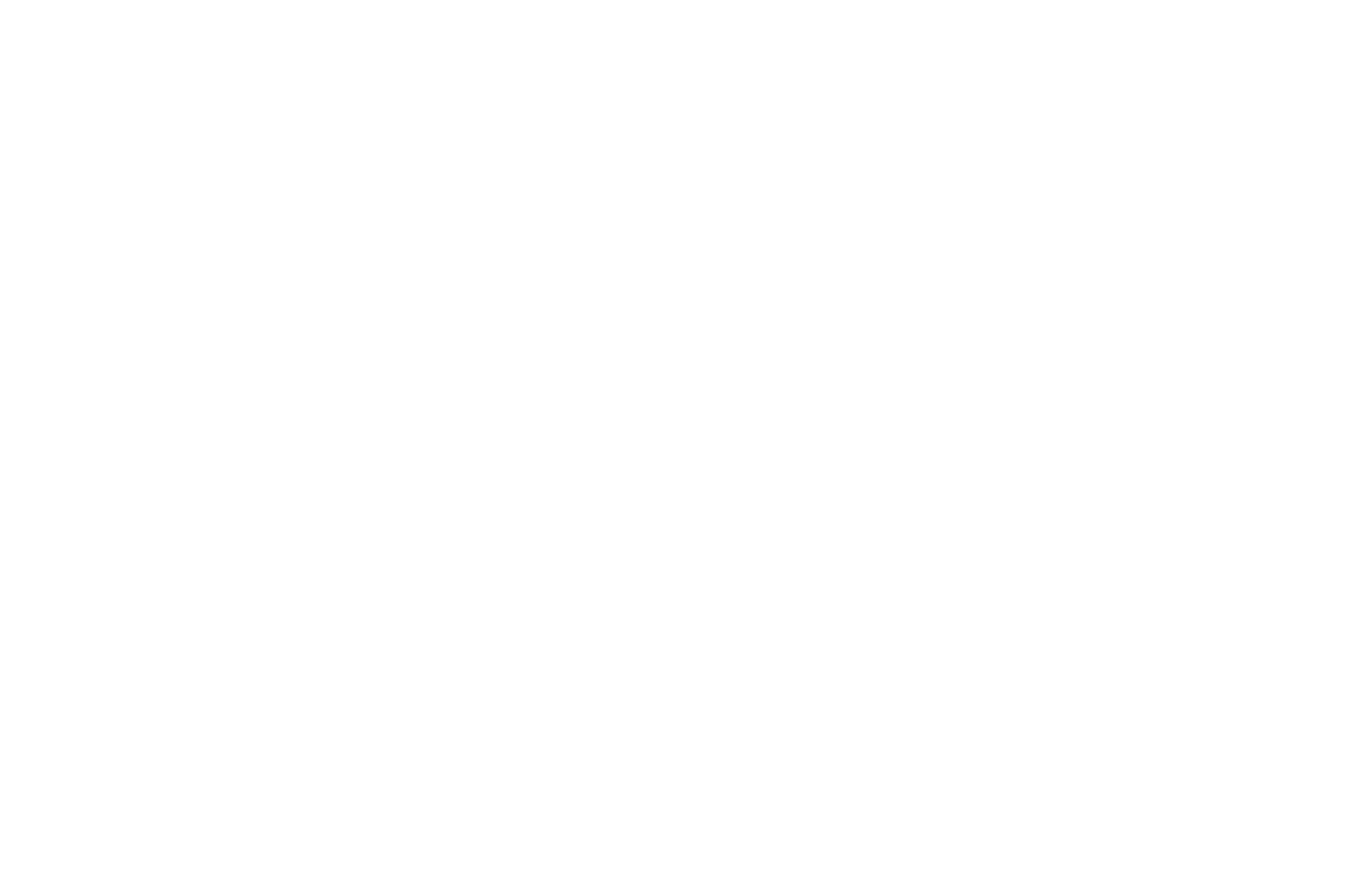 Hogan-Rossi-Liguori_white-logo